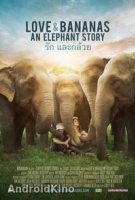 Любовь и бананы