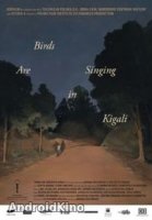 Птицы поют в Кигали